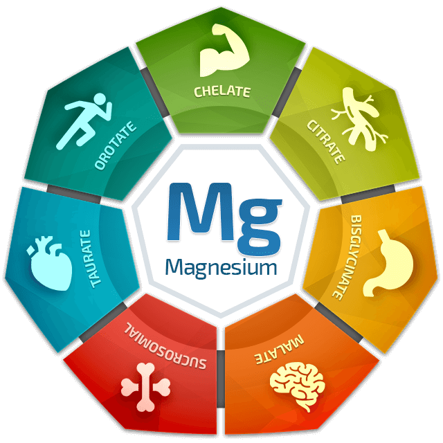 BiOptimizers Benefits